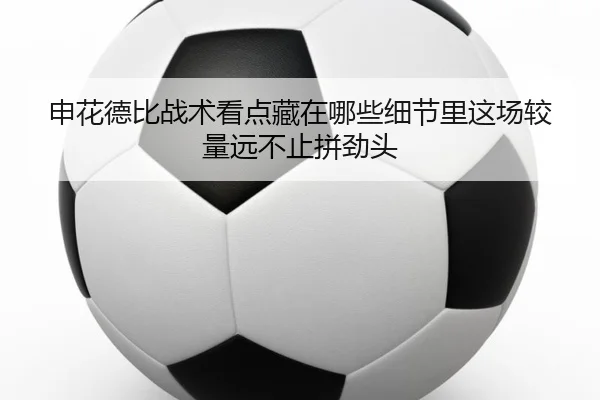 申花德比战术看点藏在哪些细节里这场较量远不止拼劲头（leyu）
